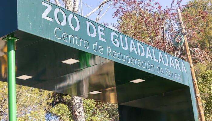 Un hotel para insectos, linces ibéricos, águilas imperiales...., son  algunas novedades que se podrán ver en el Zoo de Guadalajara | Liberal de  Castilla